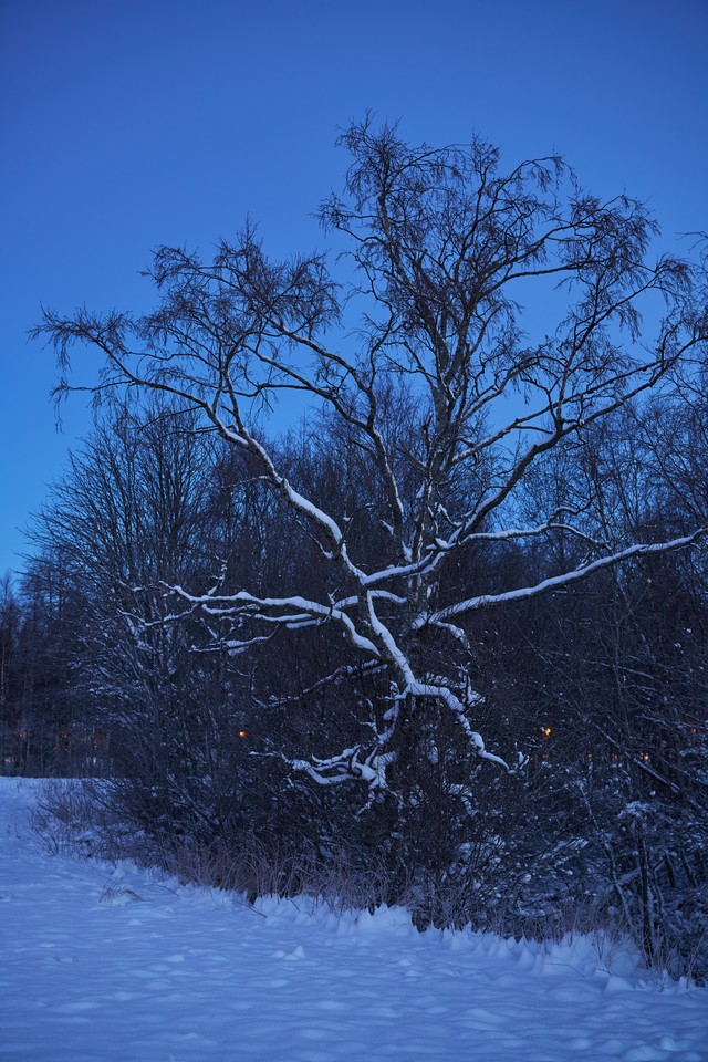 Viltrox 50mm f1.4 PRO_8w.jpg