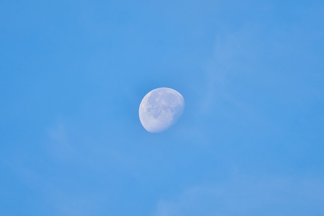 Sony FE 100-400 f5.6_f8 OSS_14w.jpg