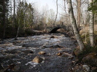 P1000006.JPG