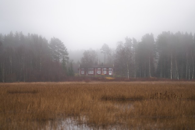 Sigma 135mm f1.4_30w.jpg