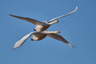 FujiFilm XF500mm f5.6_blogg1.jpg