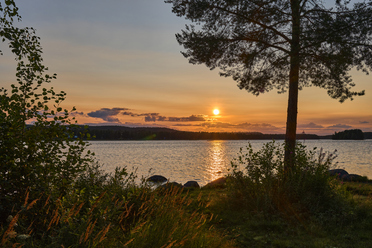 Sony RX1R III_blogg.jpg