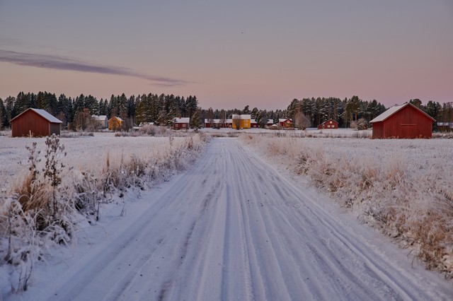 NikonZ DX 16-50mm f2.8_5w.jpg