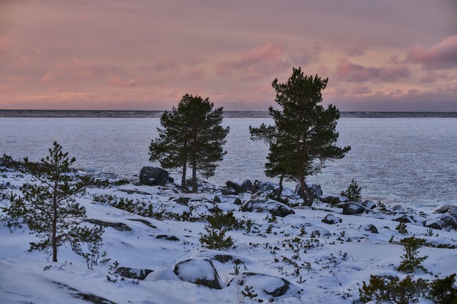 Viltrox 85mm f1.4 PRO_33w.jpg