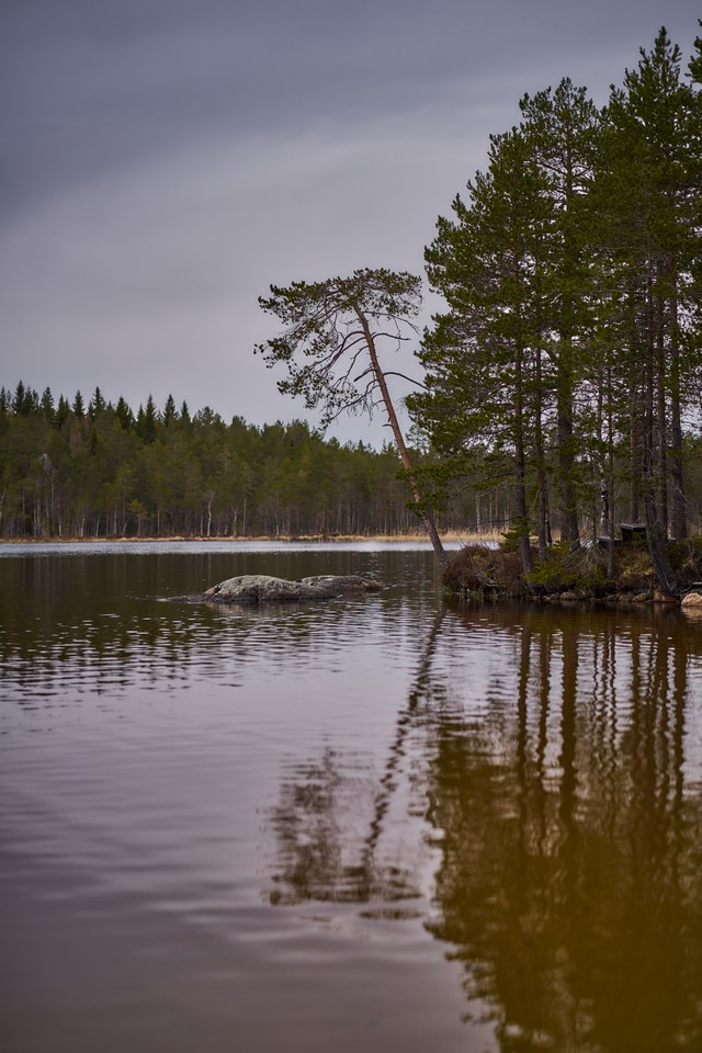 Samyang 85mm f1.8 P_14w.jpg