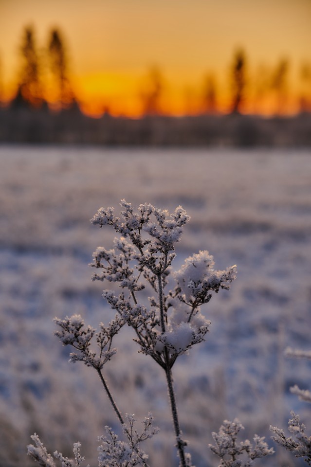 NikonZ DX 16-50mm f2.8_2w.jpg