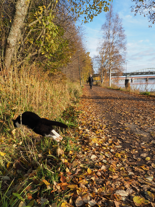 Olympus_E M5 III_6w.jpg