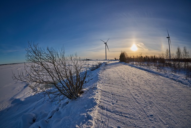 Canon RF 7-14mm_4w.jpg