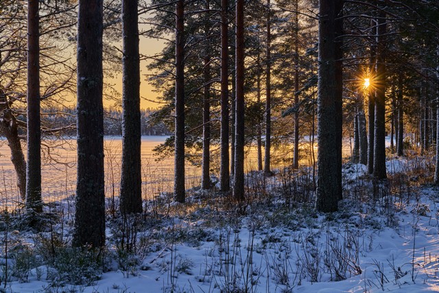 Viltrox 85mm f2 EVO_25w.jpg