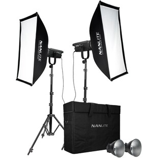 FS-150 LED Daylight Spot Light - 2-pack