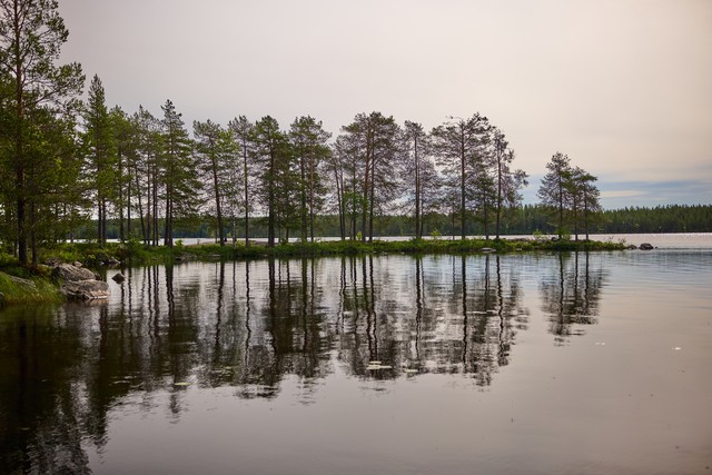 Panasonic S40mm_23w.jpg