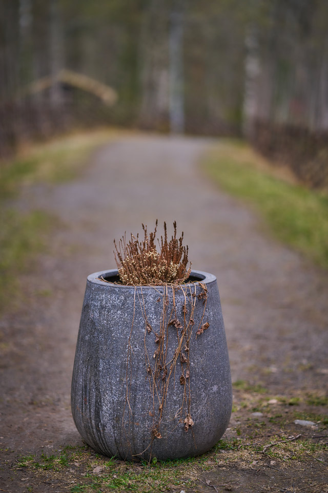 Samyang 85mm f1.8 P_24w.jpg