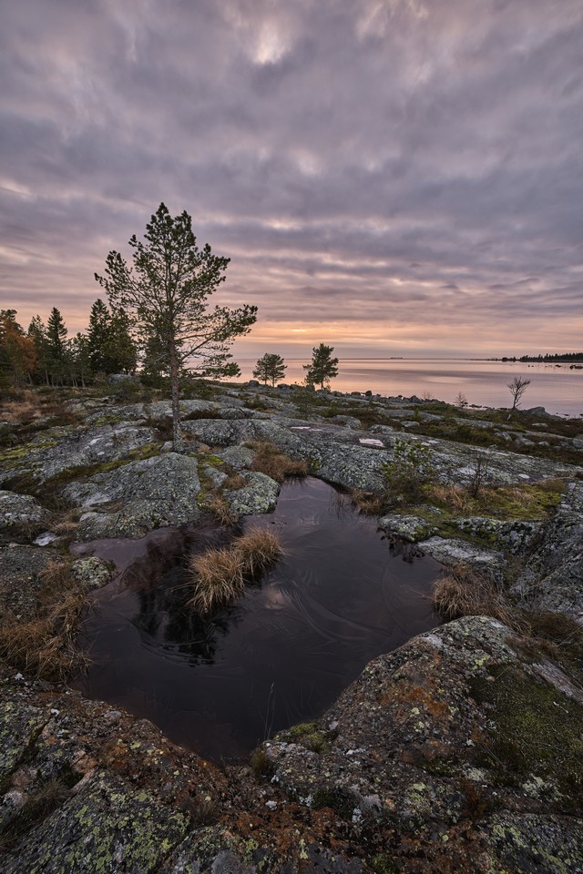 Canon EOS R6 Mark III_24w.jpg