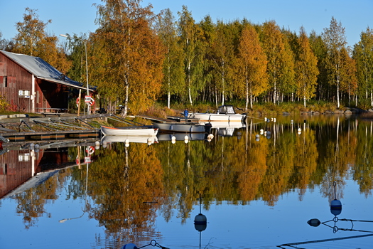 DSC_0251w.jpg