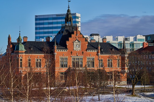 Sony 100mm f2.8 Macro_17w.jpg