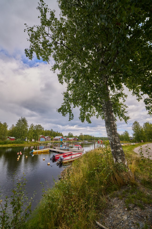 Laowa 12mm f2.8 Lite Zero-D FF_10w.jpg