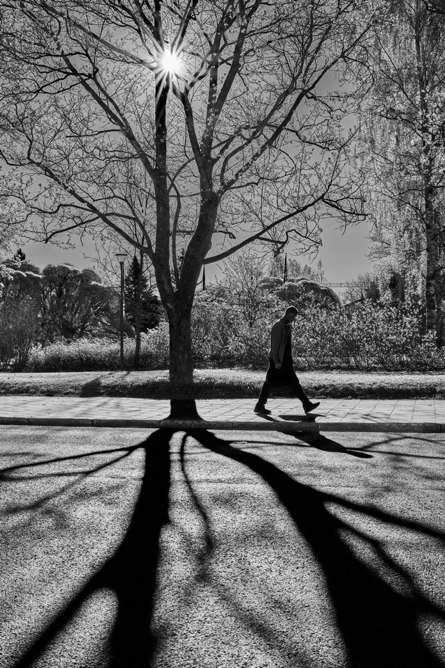 Samyang 35mm 1.8 P_21w.jpg