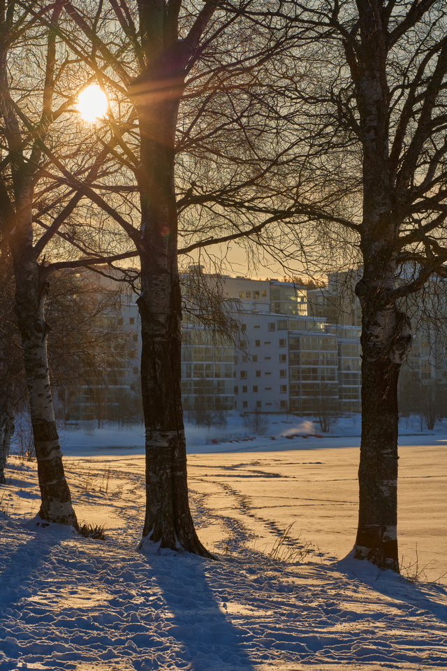 Samyang 135mm f1.8_12w.jpg