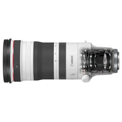 RF 100-300mm f/2,8 L IS USM (fullformat)