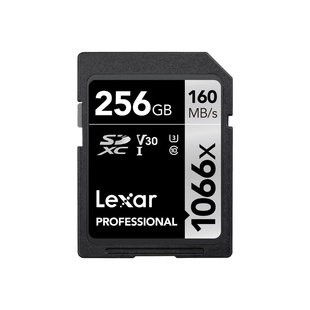 SDXC Professional 1066X 256GB UHS-I U3 V30,160MB/s