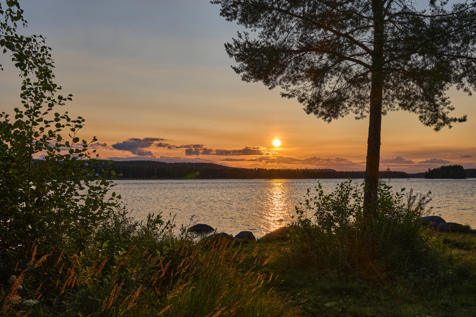 Sony RX1R III_blogg.jpg