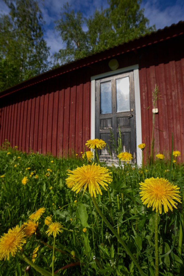 Canon RF-S 10-18mm_3w.jpg