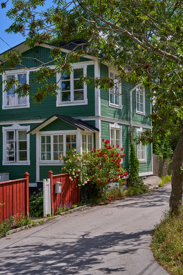 Sony FE 55mm f1.8_31w.jpg