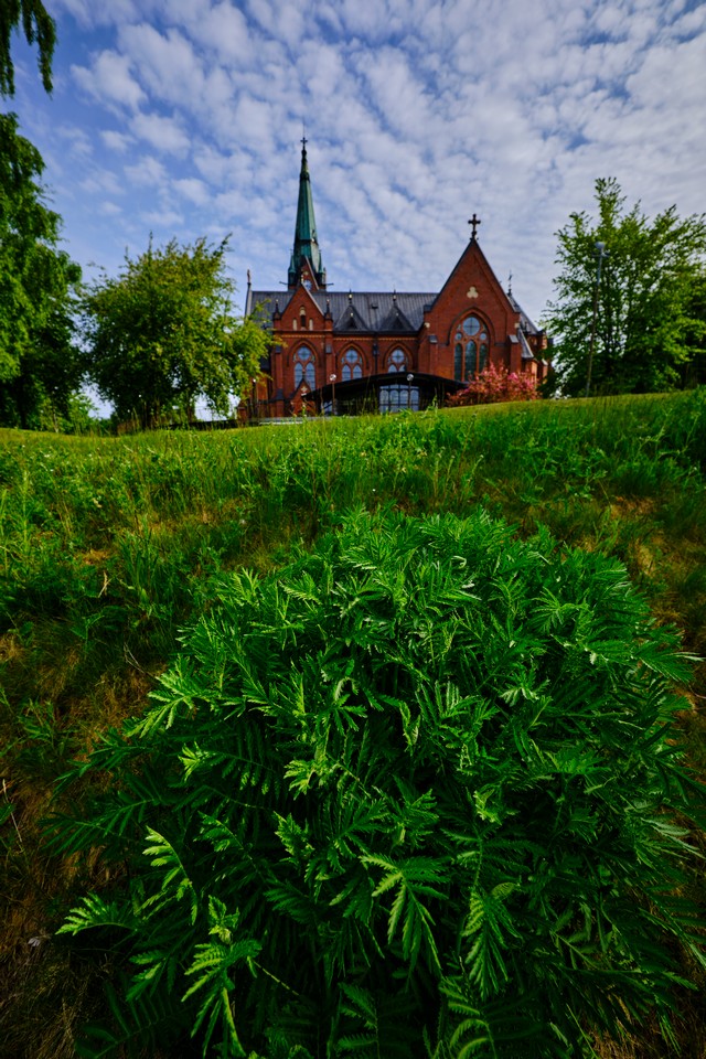 Fujifilm XF 8mm f3.5_19w.jpg