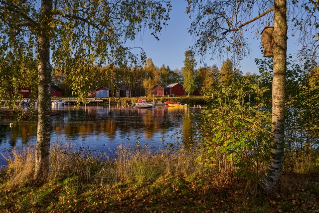 Nikon Z 24-70mm f2.8 II_35w.jpg