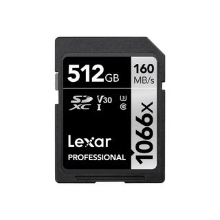 SDXC Professional 1066X 512GB UHS-I U3 V30,160MB/s
