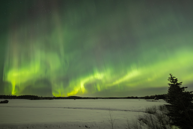 077A0820Canon RF 14mm f1.4L VCM_38w.jpg