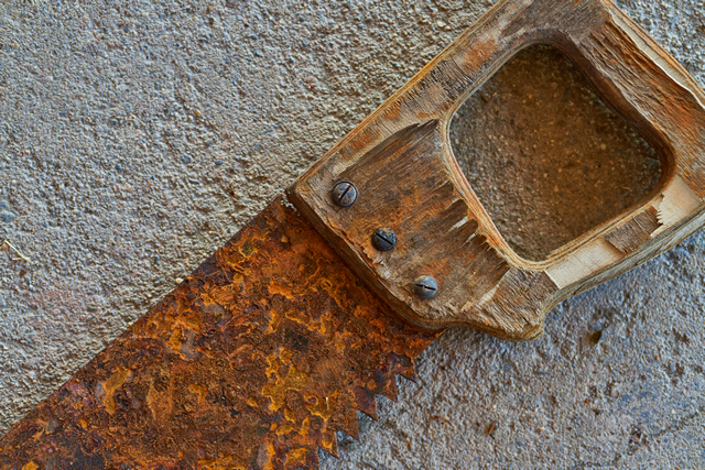 Tokina 85mm 1.8 Sony_19w.jpg