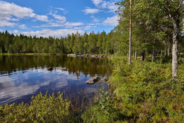 Canon RF 20mm f1.4 VCM_7w.jpg