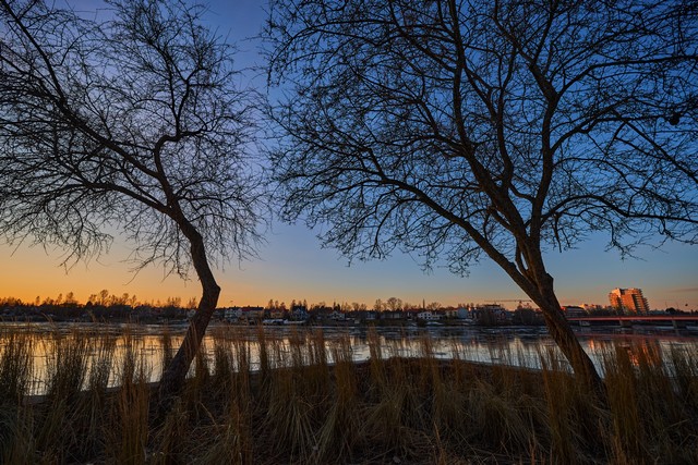 Viltrox 9mm f2.8_22w.jpg