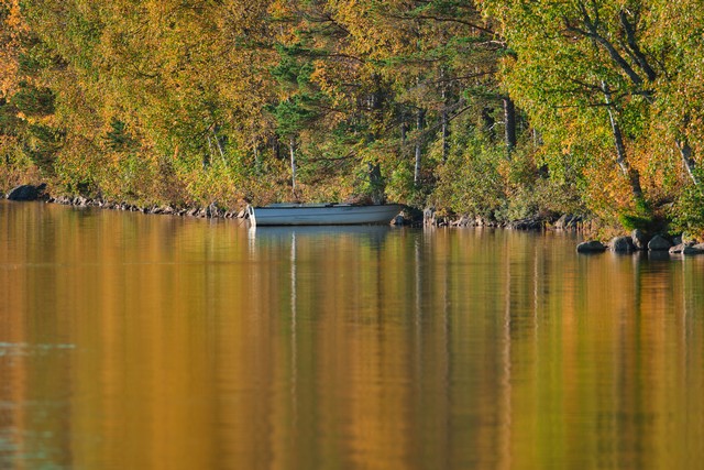 Fujifilm XF 400mm f4.5_12w.jpg