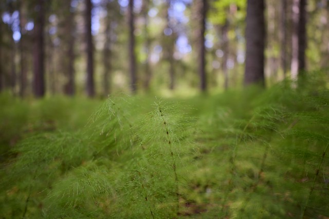 Canon RF 20mm f1.4 VCM_5w.jpg