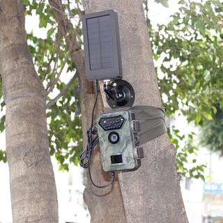 Wildcamera solar panel