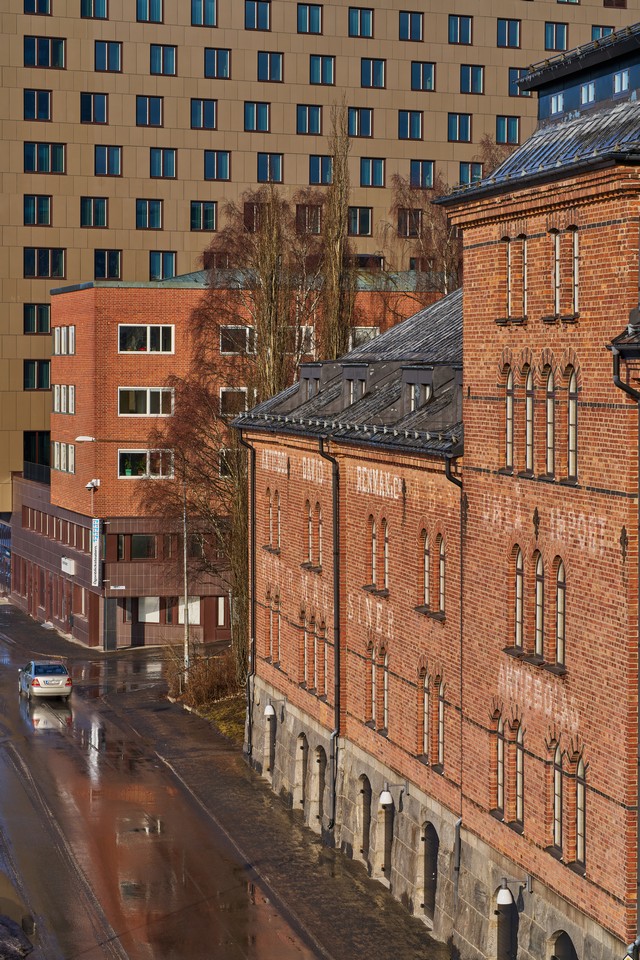 Sony 100mm f2.8 Macro_14w.jpg