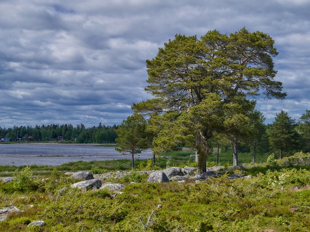 Panasonic Lumix DC L10_25w.jpg