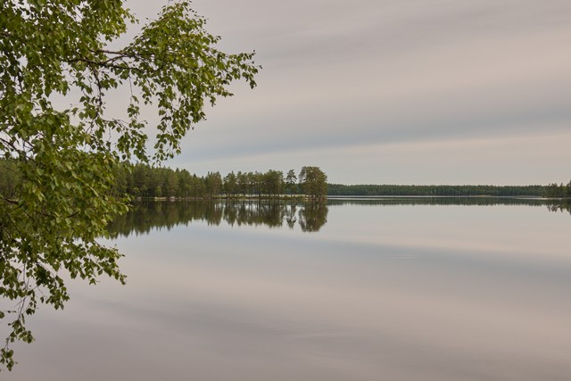 Sony RX 10 V_35w.jpg