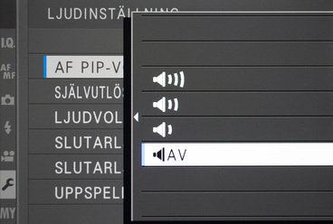P1010036.jpg