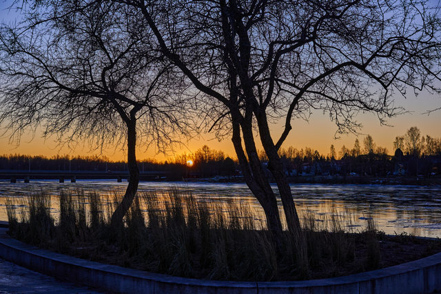 Nikon Z DX MC 35mm f1.7_26w.jpg