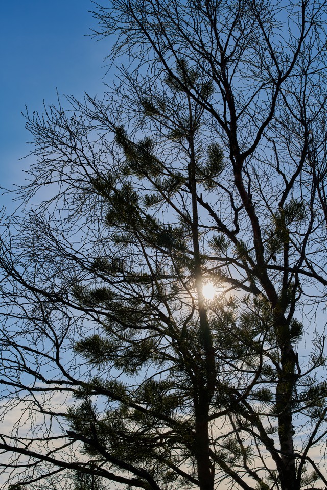 Nikon 70-200 f2.8 II_16w.jpg