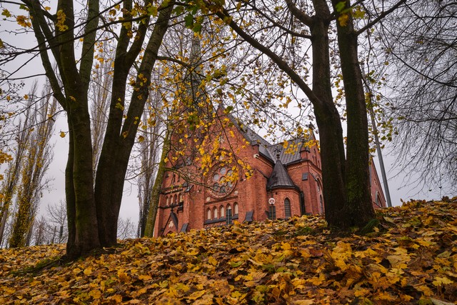 Fujifilm X-T30 III_13w.jpg