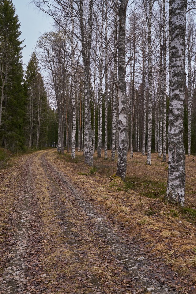 Viltrox 25mm f1.7_9w.jpg