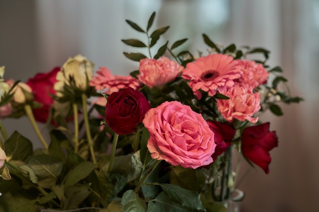 Sigma 200mm f2_10w.jpg