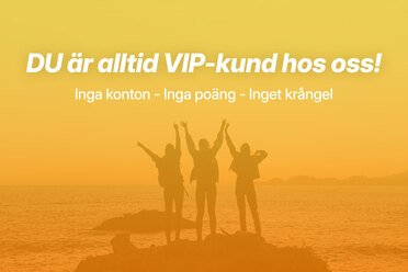 VIP_blogg1.jpg