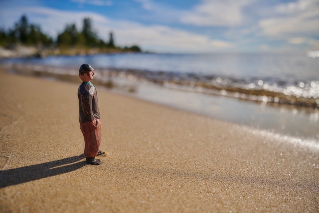 Nikon Z 24-70mm f2.8 II_22w.jpg