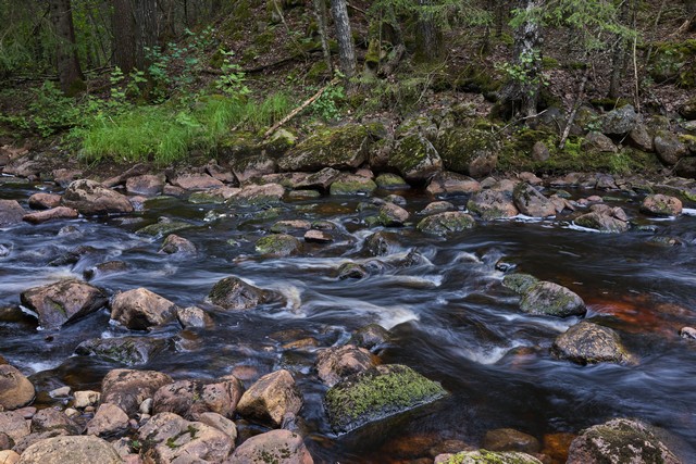 Sony RX1R III_16w.jpg