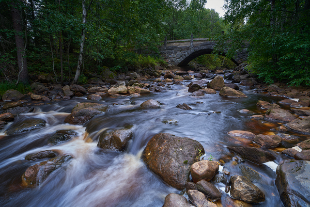 Laowa 12-24mm_1w.jpg